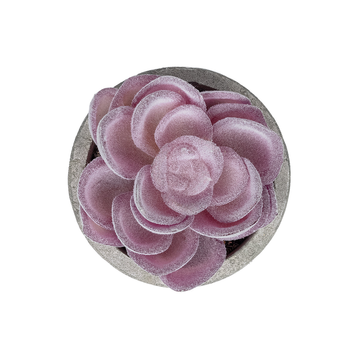 GloboStar® Artificial Garden SUCCULENT SEDEVERIA POTTED PLANT 21028 Διακοσμητικό Φυτό Σεδεβέρια  Φ5x Υ11cm - ledmania.gr