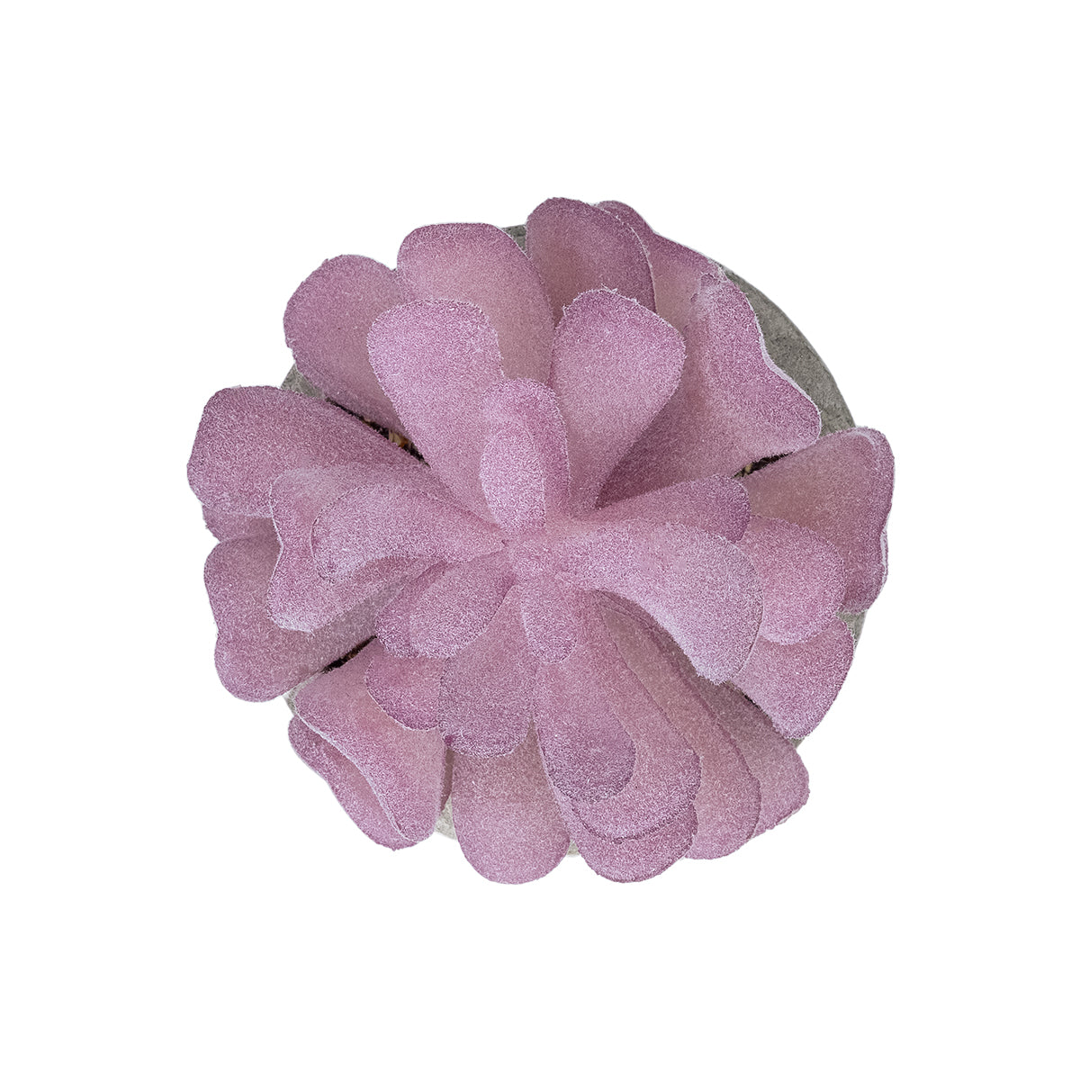 GloboStar® Artificial Garden SUCCULENT CRASSULA POTTED PLANT 21029 Διακοσμητικό Φυτό Κρασούλα  Φ7 x Υ10,5cm - ledmania.gr