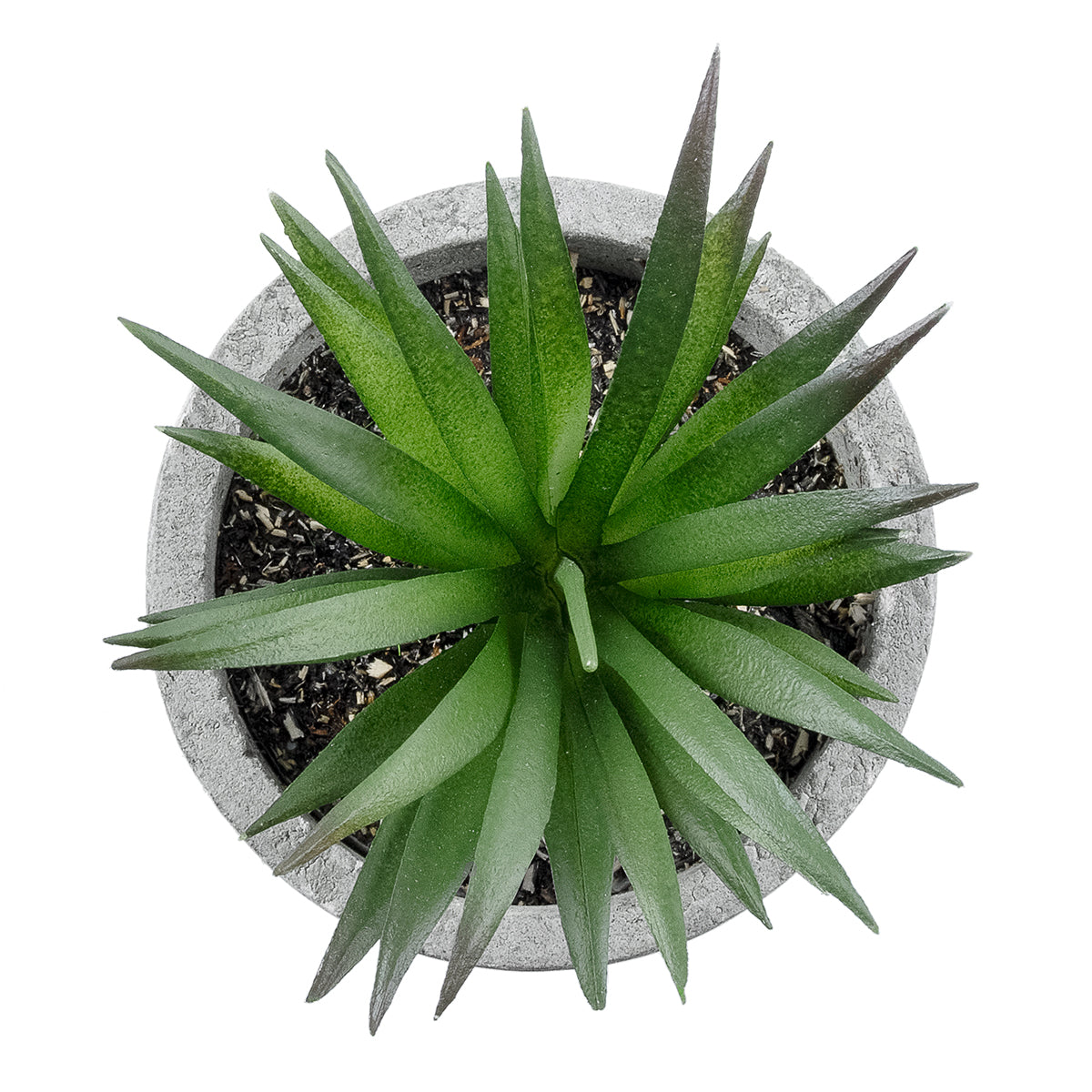 GloboStar® Artificial Garden SUCCULENT ALOE 21030 Διακοσμητικό Φυτό Παχύφυτο Αλόη Υ10cm - ledmania.gr