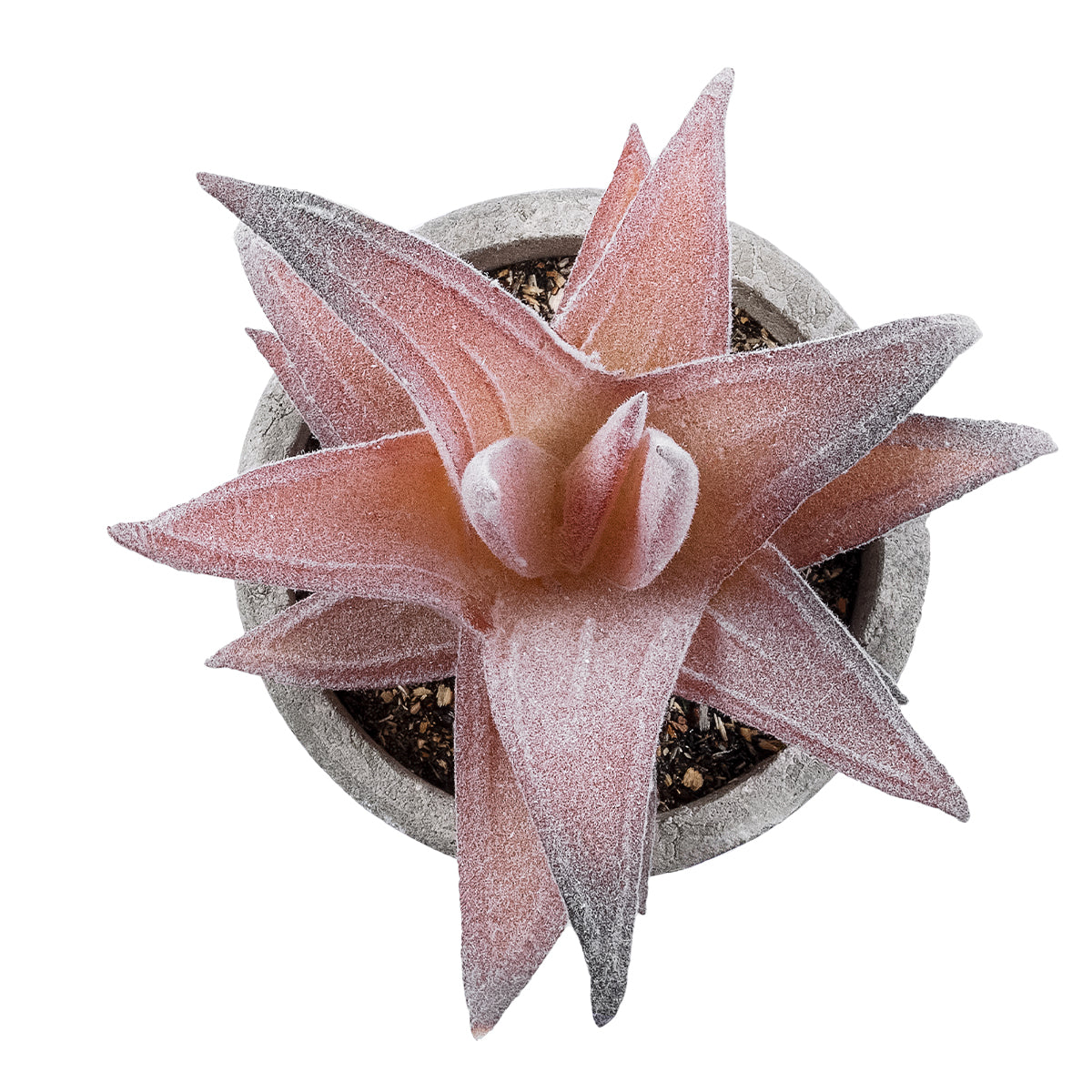 GloboStar® Artificial Garden SUCCULENT ALOE 21032 Διακοσμητικό Φυτό Παχύφυτο Αλόη Υ11cm - ledmania.gr