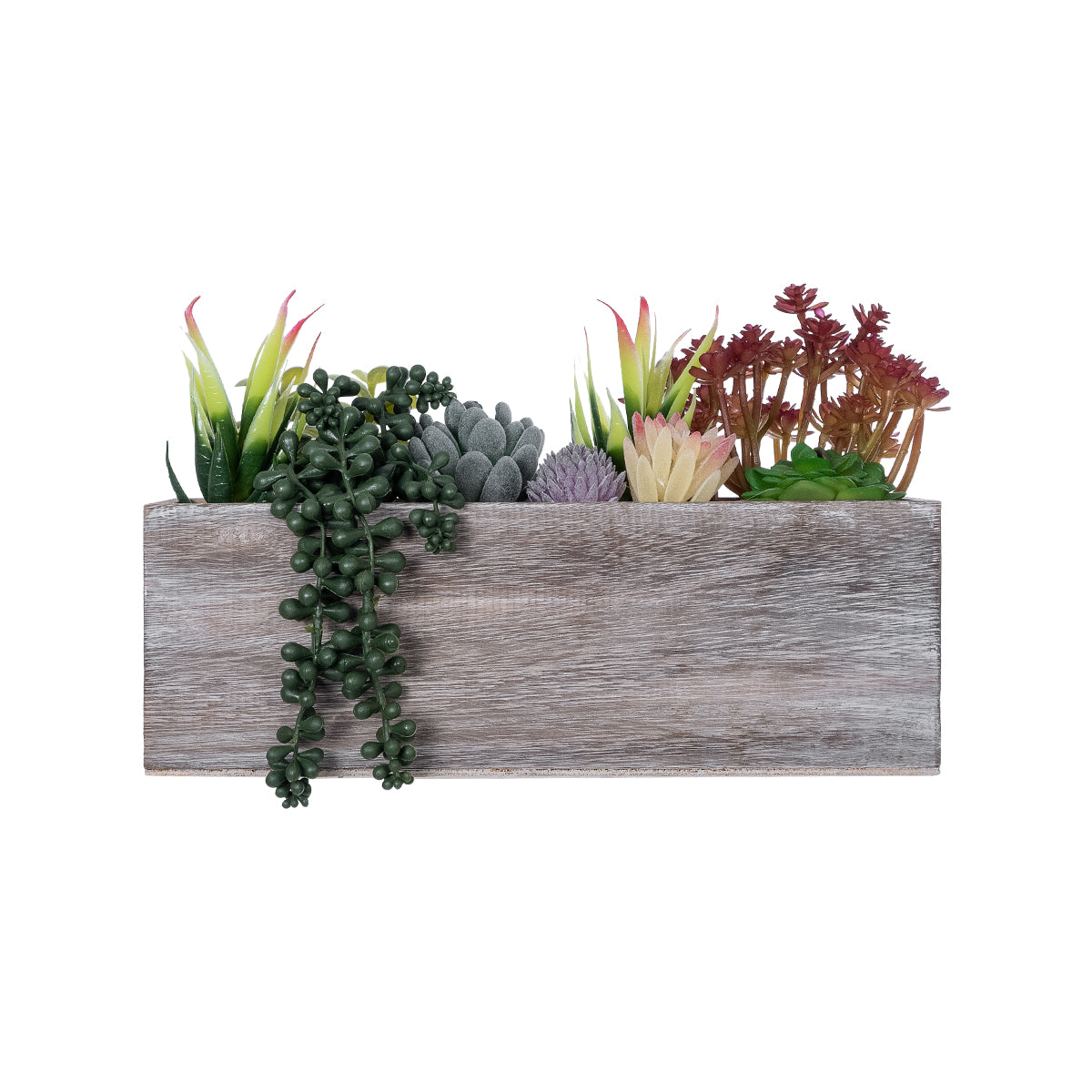 GloboStar® Artificial Garden SUCCULENT VARIUS PLANT POTTED 21033 Διακοσμητικό Φυτό Μίξ Μ29 x Π10 x Υ18cm - ledmania.gr
