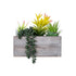 GloboStar® Artificial Garden SUCCULENT VARIUS PLANT POTTED 21034 Διακοσμητικό Φυτό Μίξ Μ23 x Π13 x Υ23cm - ledmania.gr