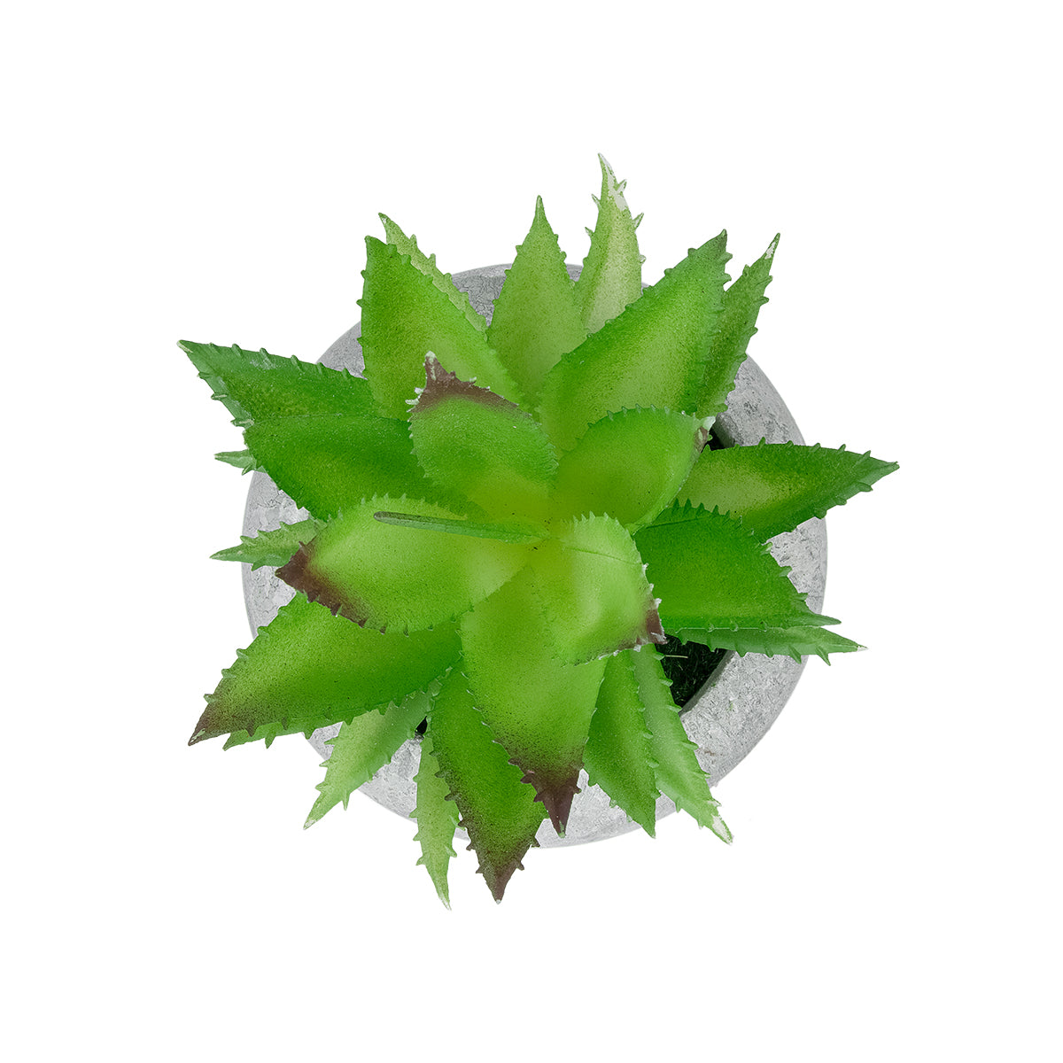 GloboStar® Artificial Garden SUCCULENT ALOE POTTED PLANT 21037 Διακοσμητικό Φυτό Αλόη Φ10 x Υ15cm - ledmania.gr