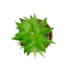 GloboStar® Artificial Garden SUCCULENT ALOE POTTED PLANT 21044 Διακοσμητικό Φυτό Αλόη Φ12 x Υ16cm - ledmania.gr