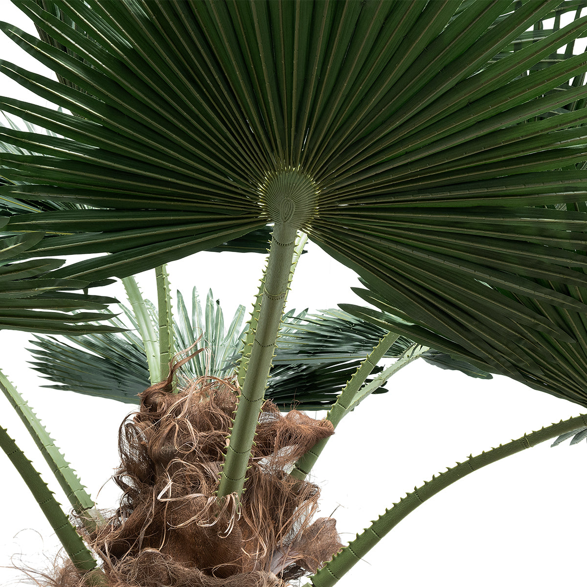 GloboStar® Artificial Garden PLANT PALM TREE 21055 Διακοσμητικό Δέντρο Φοίνικα  Φ240 x Υ400cm - ledmania.gr