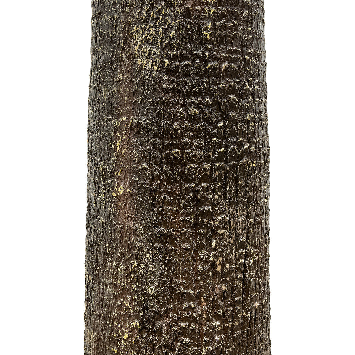 GloboStar® Artificial Garden PLANT PALM TREE 21055 Διακοσμητικό Δέντρο Φοίνικα  Φ240 x Υ400cm - ledmania.gr