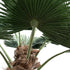 GloboStar® Artificial Garden PLANT PALM TREE 21057 Διακοσμητικό Δέντρο Φοίνικα  Φ240 x Υ600cm - ledmania.gr