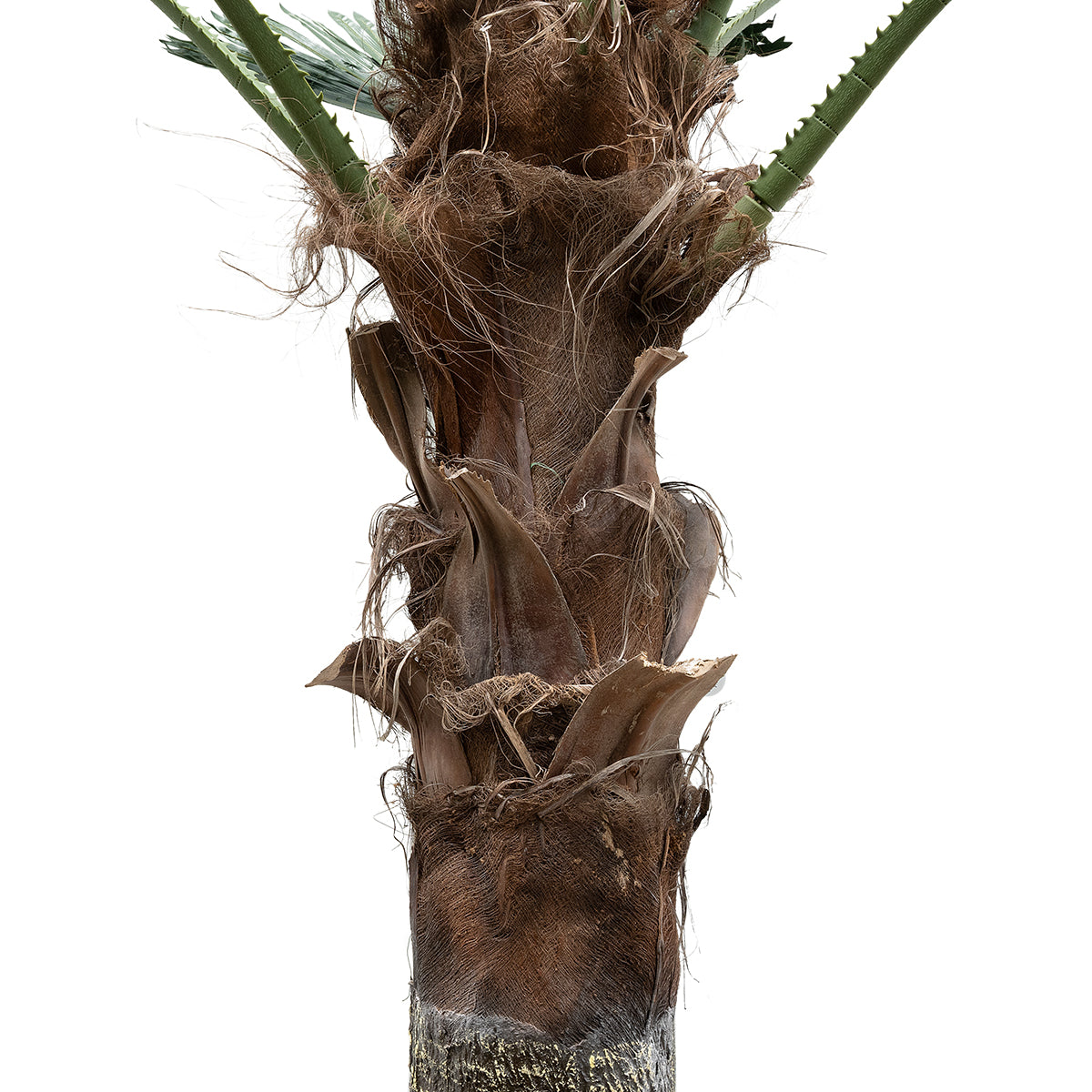 GloboStar® Artificial Garden PLANT PALM TREE 21057 Διακοσμητικό Δέντρο Φοίνικα  Φ240 x Υ600cm - ledmania.gr