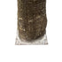 GloboStar® Artificial Garden PLANT PALM TREE 21057 Διακοσμητικό Δέντρο Φοίνικα  Φ240 x Υ600cm - ledmania.gr