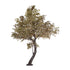 GloboStar® Artificial Garden MAPLE TREE 21058 Τεχνητό Διακοσμητικό Δέντρο Σφένδαμος Υ400cm - ledmania.gr