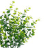 GloboStar® Artificial Garden  EUCALYPTUS BRANCH 21065 Διακοσμητικό Κλαδί Ευκάλυπτος Φ17 x Υ30cm - ledmania.gr