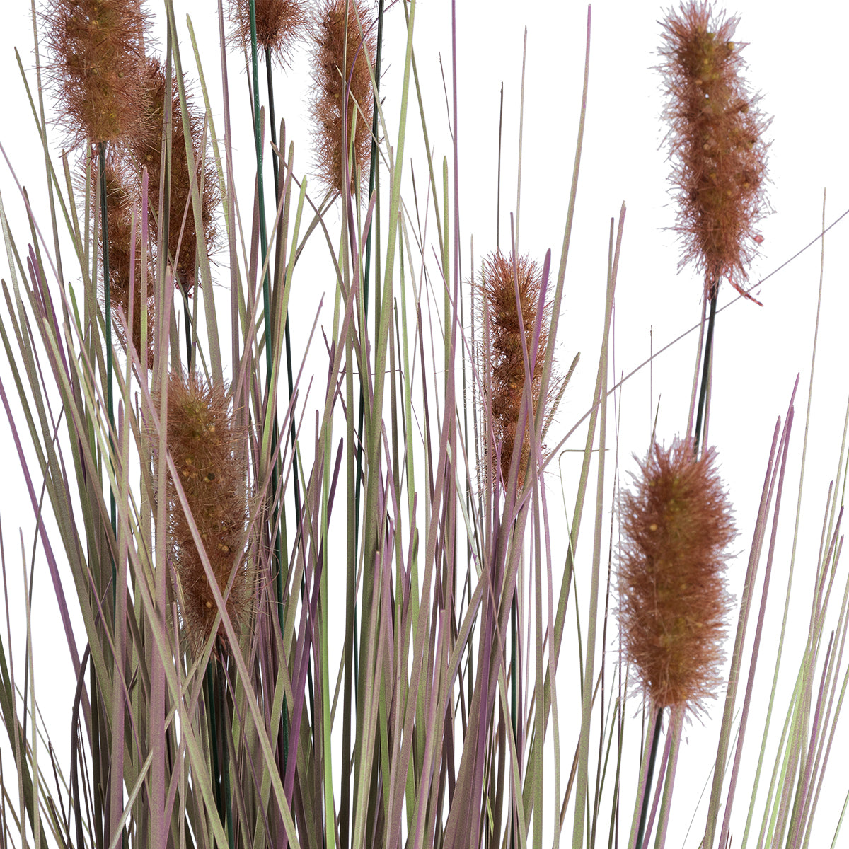 GloboStar® Artificial Garden BROWN LAGURUS 21099 Διακοσμητικό Φυτό Καφέ Λαγοουρά Υ70cm - ledmania.gr