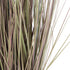 GloboStar® Artificial Garden BROWN LAGURUS 21099 Διακοσμητικό Φυτό Καφέ Λαγοουρά Υ70cm - ledmania.gr