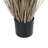 GloboStar® Artificial Garden BROWN LAGURUS 21099 Διακοσμητικό Φυτό Καφέ Λαγοουρά Υ70cm - ledmania.gr