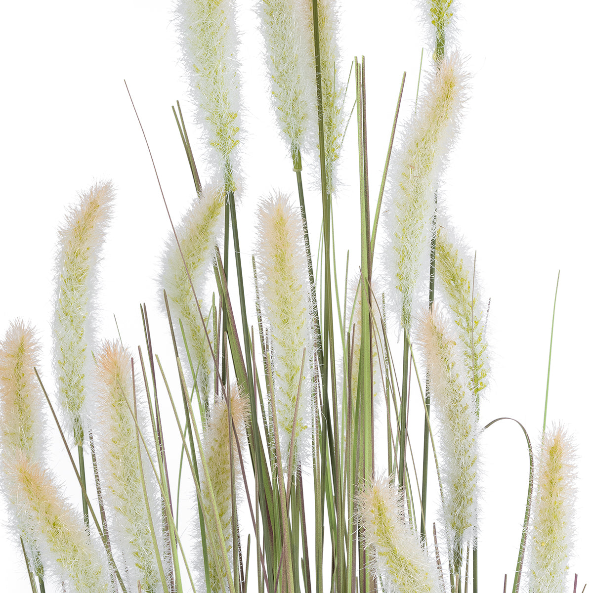 GloboStar® Artificial Garden BEIGE LAGURUS 21102 Διακοσμητικό Φυτό Μπεζ Λαγοουρά Υ140cm - ledmania.gr