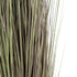 GloboStar® Artificial Garden BROWN LAGURUS 21103 Διακοσμητικό Φυτό Καφέ Λαγοουρά Υ180cm - ledmania.gr
