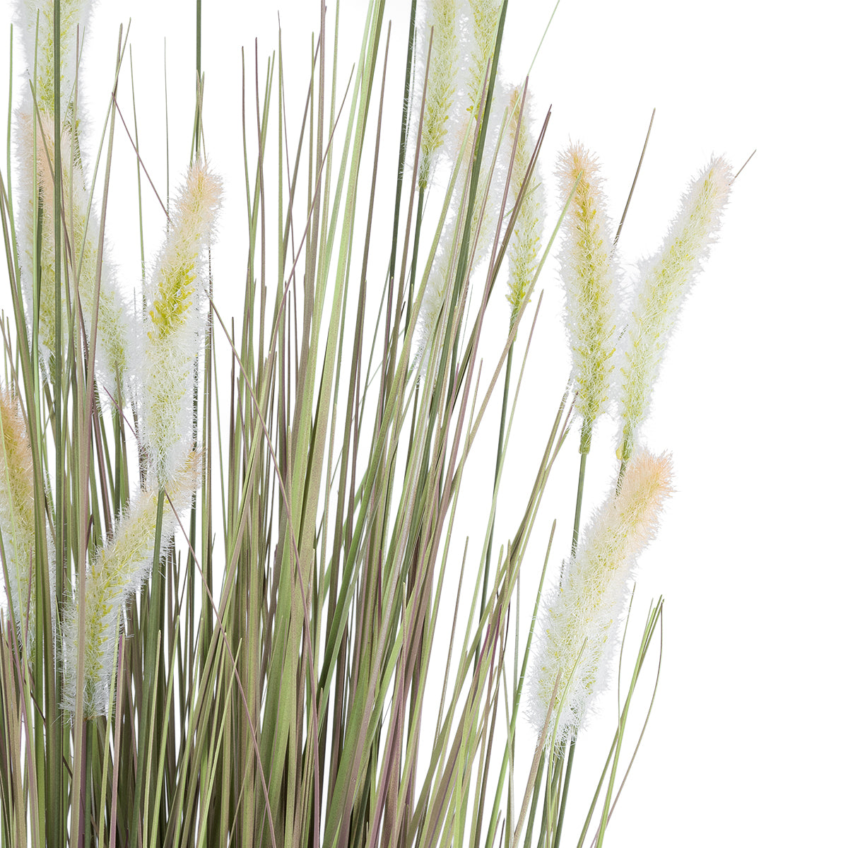 GloboStar® Artificial Garden BEIGE LAGURUS 21104 Διακοσμητικό Φυτό Μπεζ Λαγοουρά Υ180cm - ledmania.gr