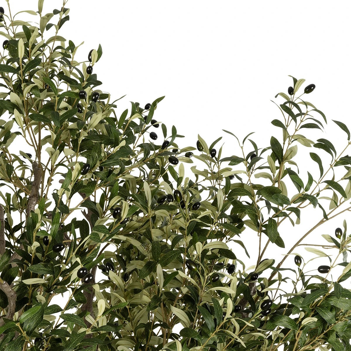 GloboStar® Artificial Garden OLIVE TREE 21112 Τεχνητό Διακοσμητικό Δέντρο Ελιά Υ220cm - ledmania.gr