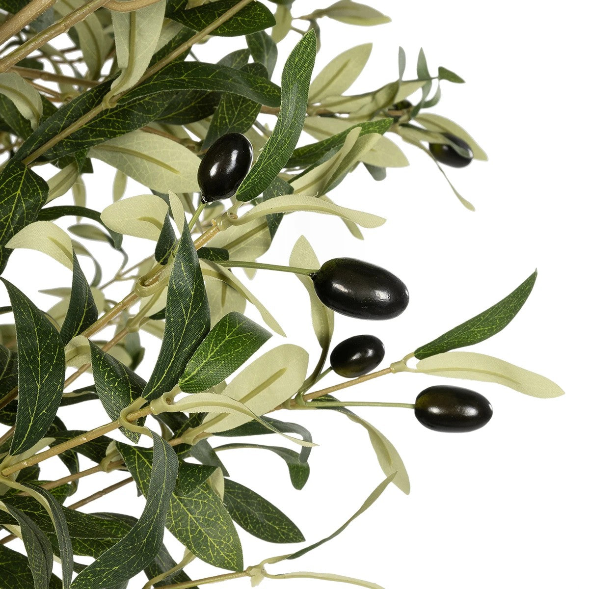 GloboStar® Artificial Garden OLIVE TREE 21112 Τεχνητό Διακοσμητικό Δέντρο Ελιά Υ220cm - ledmania.gr