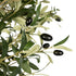 GloboStar® Artificial Garden OLIVE TREE 21112 Τεχνητό Διακοσμητικό Δέντρο Ελιά Υ220cm - ledmania.gr