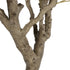 GloboStar® Artificial Garden OLIVE TREE 21112 Τεχνητό Διακοσμητικό Δέντρο Ελιά Υ220cm - ledmania.gr