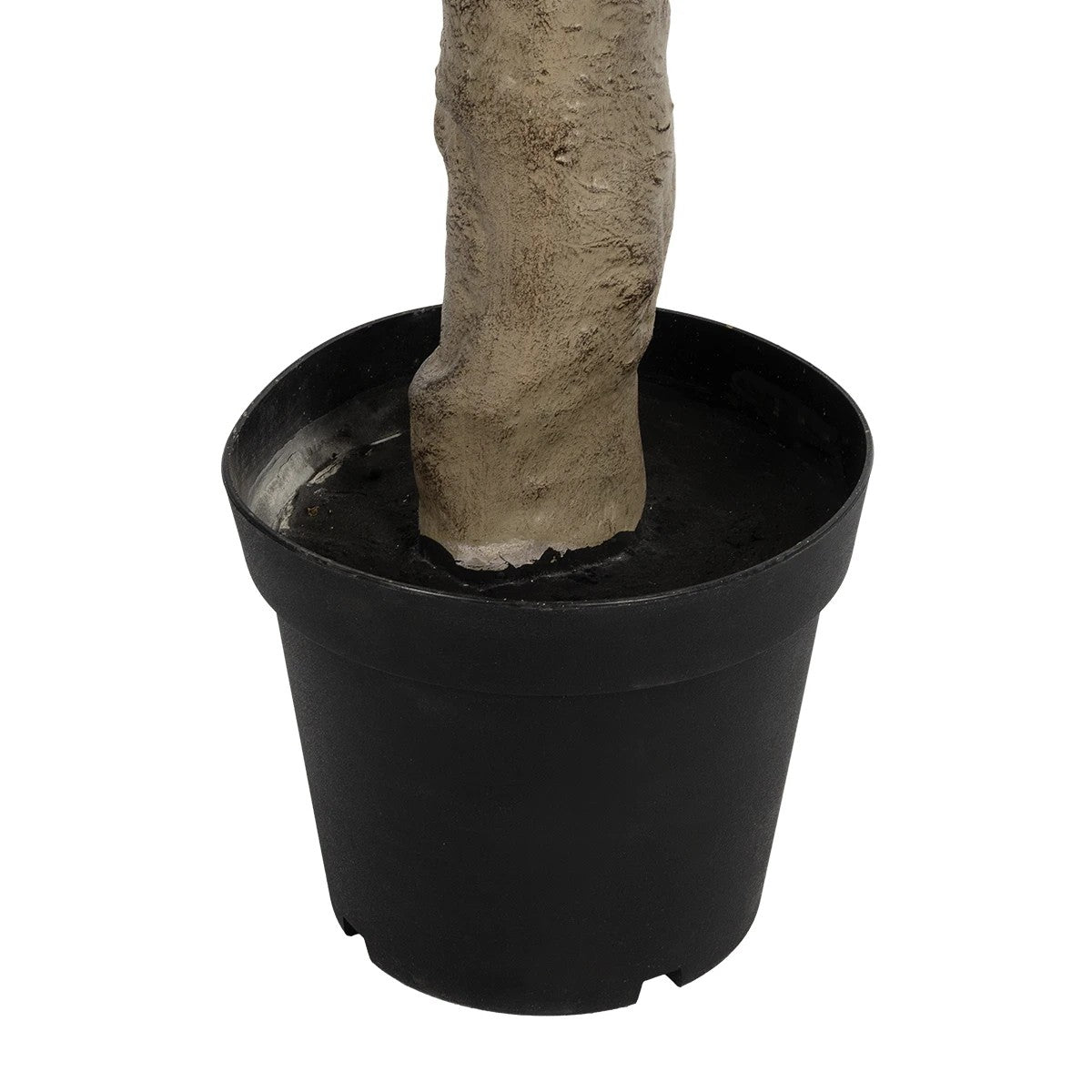 GloboStar® Artificial Garden OLIVE TREE 21112 Τεχνητό Διακοσμητικό Δέντρο Ελιά Υ220cm - ledmania.gr