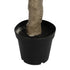 GloboStar® Artificial Garden OLIVE TREE 21112 Τεχνητό Διακοσμητικό Δέντρο Ελιά Υ220cm - ledmania.gr