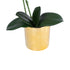 GloboStar® Artificial Garden SALMON PINK ORCHID 21129 Διακοσμητικό Φυτό Φούξια Ορχιδέα Υ43cm - ledmania.gr