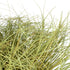 GloboStar® Artificial Garden GRASS BUSH PLANT 21166 Τεχνητό Διακοσμητικό Φυτό Θάμνος Grass Π50cm Y30cm - ledmania.gr
