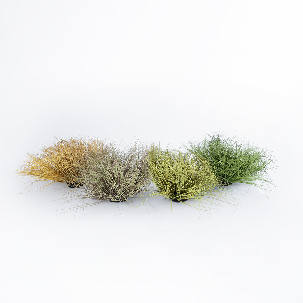 GloboStar® Artificial Garden GRASS BUSH PLANT 21166 Τεχνητό Διακοσμητικό Φυτό Θάμνος Grass Π50cm Y30cm - ledmania.gr