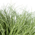 GloboStar® Artificial Garden GRASS BUSH PLANT 21168 Τεχνητό Διακοσμητικό Φυτό Θάμνος Grass Π50cm Y30cm - ledmania.gr