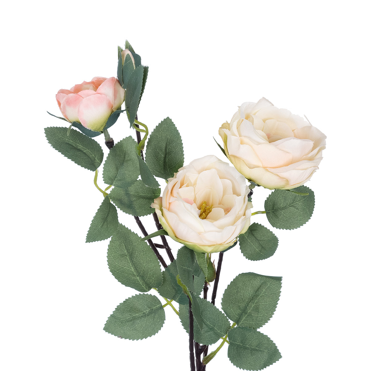 GloboStar® Artificial Garden CHAMPAGNE CLIMBING ROSE BRANCH 21183 Τεχνητό Διακοσμητικό Κλαδί Τριαντάφυλλο Σαμπανιζέ Y70cm - ledmania.gr