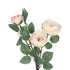 GloboStar® Artificial Garden CHAMPAGNE CLIMBING ROSE BRANCH 21183 Τεχνητό Διακοσμητικό Κλαδί Τριαντάφυλλο Σαμπανιζέ Y70cm - ledmania.gr