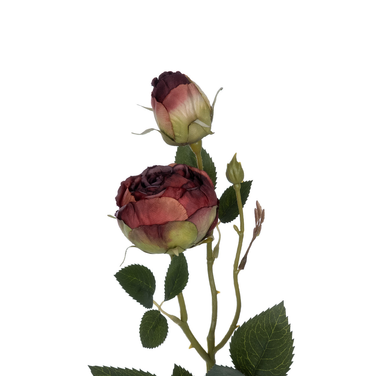 GloboStar® Artificial Garden RED DAMASK CLIMBING ROSE BRANCH 21197 Τεχνητό Διακοσμητικό Κλαδί Τριαντάφυλλο Κόκκινο Y55cm - ledmania.gr