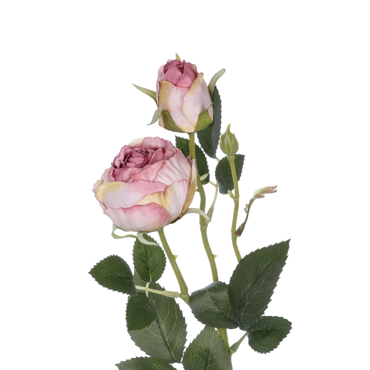 GloboStar® Artificial Garden PINK DAMASK CLIMBING ROSE BRANCH 21199 Τεχνητό Διακοσμητικό Κλαδί Τριαντάφυλλο Σαμπανιζέ Y55cm - ledmania.gr