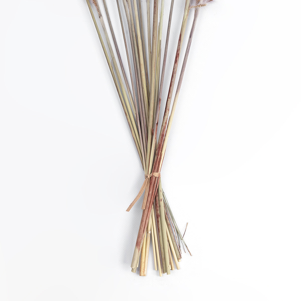 GloboStar® Artificial Garden REAL DRIED BROWN PAMPAS GRASS BUNCH 21215 Αποξηραμένο Διακοσμητικό Μπουκέτο Pampas Kάφε Y50cm - ledmania.gr