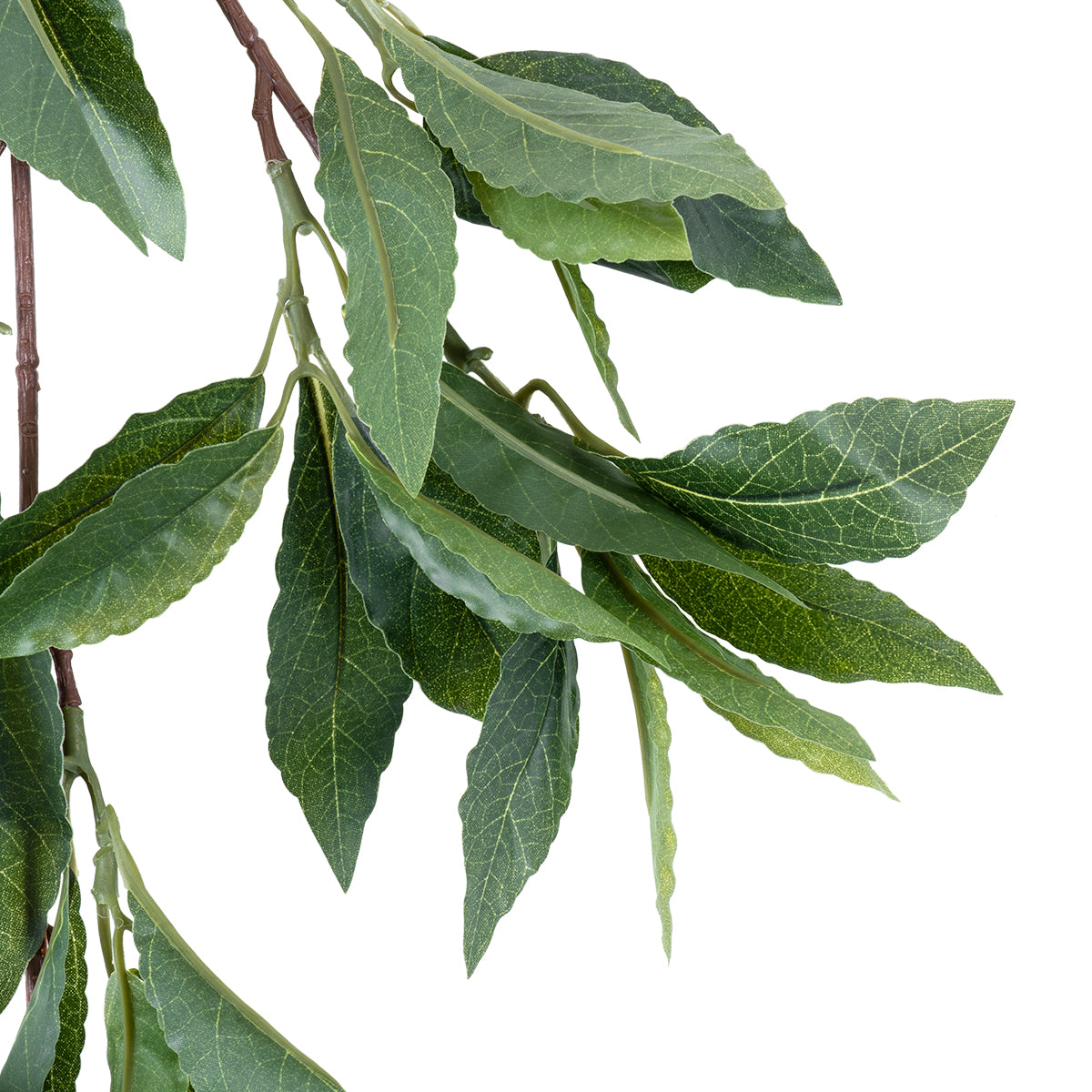 GloboStar® Artificial Garden LAURUS NOBILIS BRANCH 20225 10 x Τεχνητά Διακοσμητικά Κλαδία Δάφνης Π45 x Υ60cm - ledmania.gr