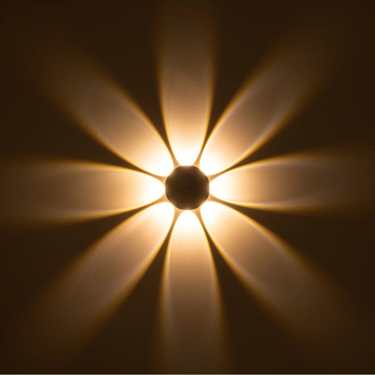 GLOBOSTAR® SOL 60796 Μοντέρνο Φωτιστικό Τοίχου - Απλίκα LED 16W 2000lm 30° AC 220-240V Αδιάβροχο IP65 Θερμό Λευκό 2700K - CREE XPE Chip & TÜV SÜD Driver - Μαύρο Ματ - Μ16 x Π5.5 x Υ16cm - 5 Χρόνια Εγγύηση - ledmania.gr