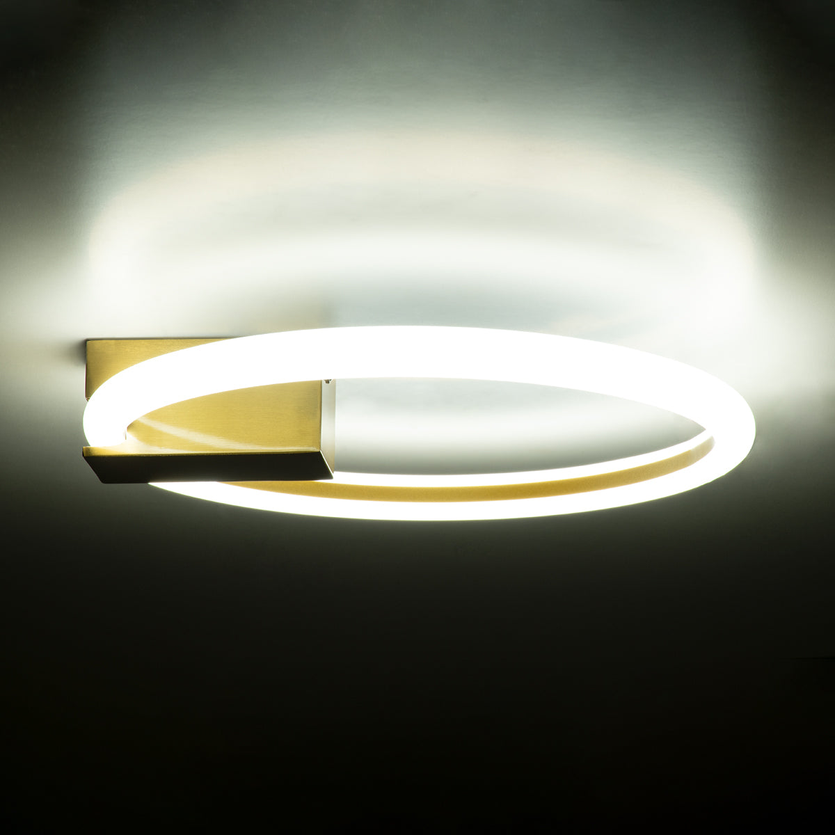 GloboStar® CINDERELLA 60978 Φωτιστικό Οροφής Δαχτυλίδι-Κύκλος LED CCT 16W 1792lm 360° AC 220-240V - Εναλλαγή Φωτισμού μέσω Διακόπτη On/Off All In One Ψυχρό 6000k+Φυσικό 4500k+Θερμό 2700k Φ28cm - Χρυσό Βούρτσας - 3 Years Warranty - ledmania.gr