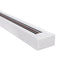 GLOBOSTAR® EUROTRACK-1PH 60985-3M Μονοφασική Ράγα 2 Καλωδίων 1L+1N για Σύστημα Ράγας Eurotrack-1PH AC 220-240V IP20 - Λευκό Ματ - Μ300 x Π3.6 x Υ2cm
