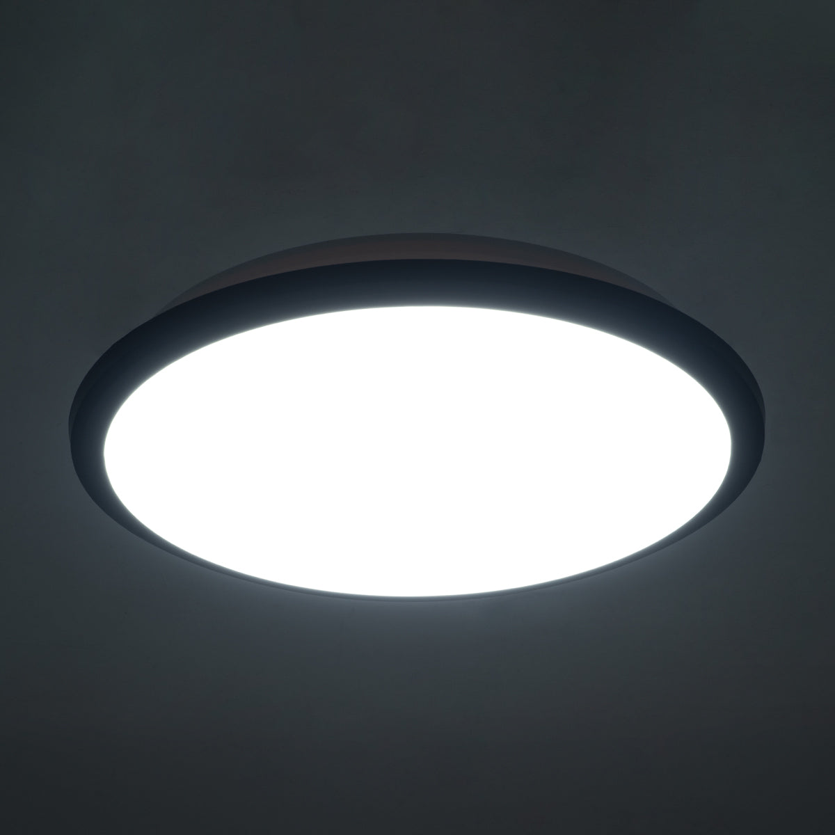 GLOBOSTAR® TUFFIN 60996 Φωτιστικό Πλαφονιέρα Οροφής LED 24W 2760lm 120° AC 220-240V Αδιάβροχο IP54 Ψυχρό Λευκό 6000K - Lumileds SMD Chip - Μαύρο Ματ & Λευκό Γαλακτερό - Μ30 x Π30 x Υ6.5cm - 3 Χρόνια Εγγύηση