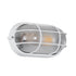 GLOBOSTAR® BOATLIGHT 61582 Φωτιστικό Καραβοχελώνα Τοίχου - Απλίκα με Ντουί 1 x E27 120° AC 220-240V Αδιάβροχο IP65 -  Λευκό Ματ - Μ21 x Π10.4 x Υ9cm - ledmania.gr