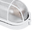 GLOBOSTAR® BOATLIGHT 61582 Φωτιστικό Καραβοχελώνα Τοίχου - Απλίκα με Ντουί 1 x E27 120° AC 220-240V Αδιάβροχο IP65 -  Λευκό Ματ - Μ21 x Π10.4 x Υ9cm - ledmania.gr