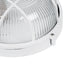 GLOBOSTAR® BOATLIGHT 61585 Vintage Φωτιστικό Καραβοχελώνα Τοίχου & Οροφής με Ντουί 1 x E27 AC 220-240V Αδιάβροχο IP65 - Λευκό Ματ - Μ17.5 x Π17.5 x Υ9cm - ledmania.gr