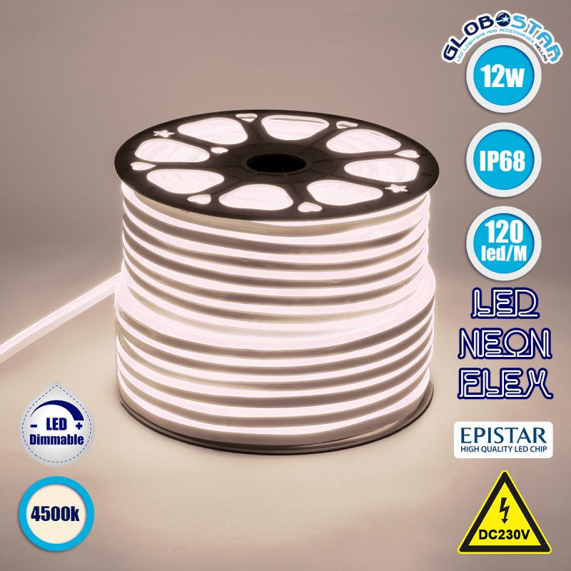 GloboStar® 70571 OVALE 120° Degree Neon Flex Epistar LED SMD 2835 1m 12W/m 120LED/m 1284lm/m 120° DC 230V Αδιάβροχη IP68 Φυσικό Λευκό 4500K Dimmable - ledmania.gr