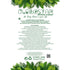 GloboStar® Artificial Garden OLIVE TREE 21112 Τεχνητό Διακοσμητικό Δέντρο Ελιά Υ220cm - ledmania.gr