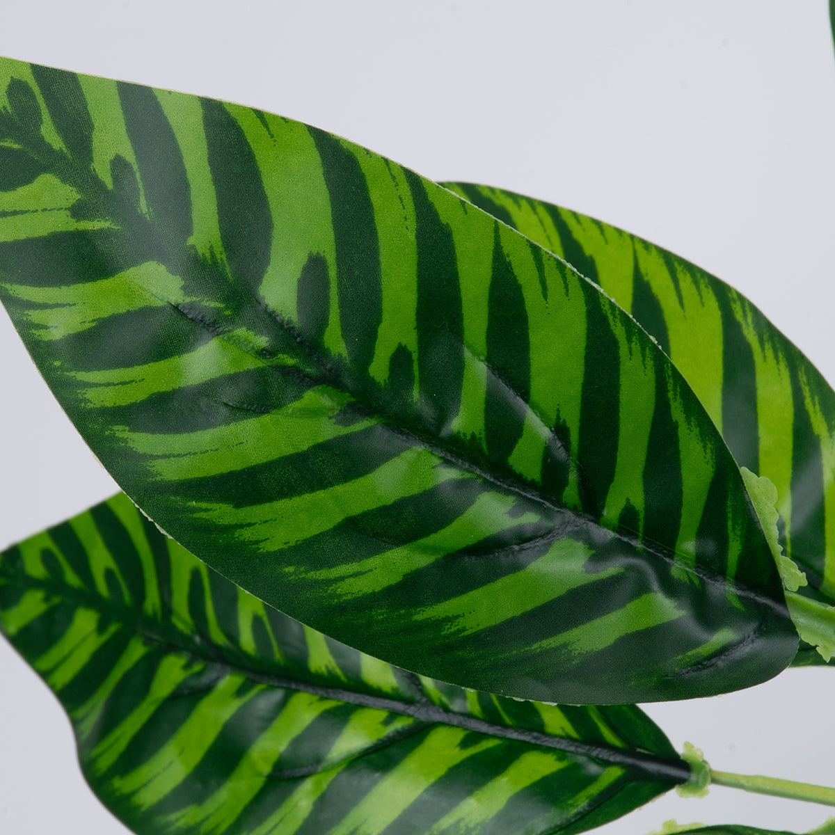 GloboStar® ZEBRA PLANT 78221 Τεχνητό Φυτό Ζέβρα - Μπουκέτο Διακοσμητικών Φυτών - Κλαδιών με Φύλλωμα Πράσινο Υ16cm - ledmania.gr