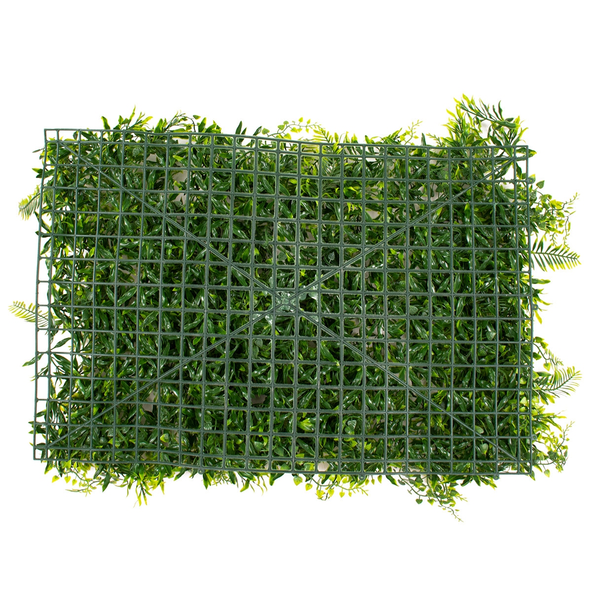 GLOBOSTAR® FERN 78405 Τεχνητό Πάνελ Φυλλωσιάς / Κάθετος Κήπος Νάνος Φτέρη, Νάνος Κισσός & Δανάη - Πράσινο - Μ60 x Π40 x Υ8cm