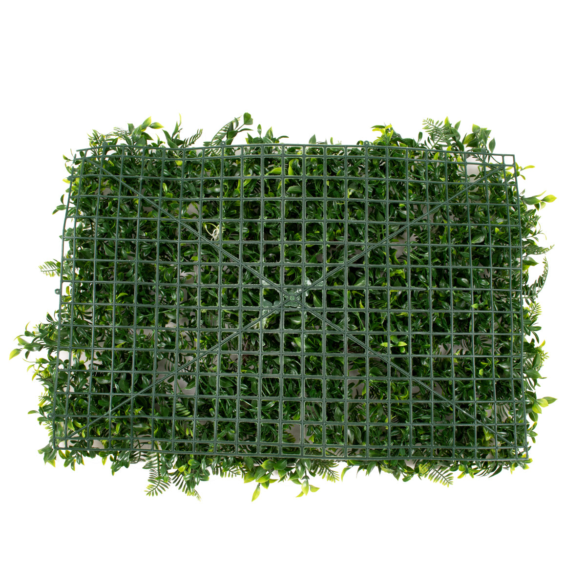GloboStar® 78407 Artificial - Συνθετικό Τεχνητό Διακοσμητικό Πάνελ Φυλλωσιάς - Κάθετος Κήπος Ίληξ - Νάνος Φτέρη - Κοράλι - Κουφέα Πράσινο Μ60 x Υ40 x Π10cm - ledmania.gr