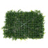 GloboStar® 78407 Artificial - Συνθετικό Τεχνητό Διακοσμητικό Πάνελ Φυλλωσιάς - Κάθετος Κήπος Ίληξ - Νάνος Φτέρη - Κοράλι - Κουφέα Πράσινο Μ60 x Υ40 x Π10cm - ledmania.gr